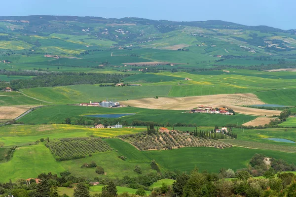 Amazing Aerial View Tuscany Fortress Tentennano Beautiful Summer Landscape Castiglione — Stock Photo, Image