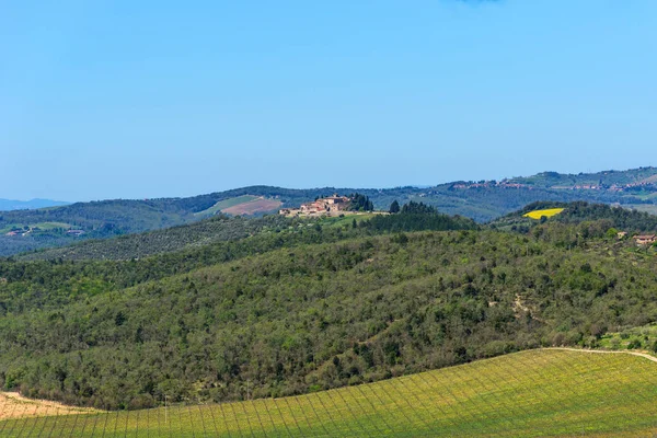 Περιοχή Chianti Ιταλία Απριλίου 2018 Χωράφια Αγροτικό Τοπίο Κυπαρίσσια Αμπέλια — Φωτογραφία Αρχείου