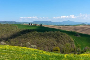 Güzel kırsal manzara, servi ağaçları, yeşil alan ve Toskana Pienza yanında mavi gökyüzünde. Bahar Toskana, İtalya