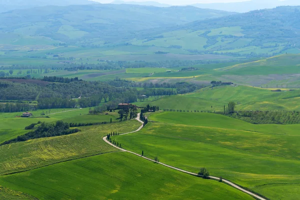 Schöne Ländliche Landschaft Zypressen Grüne Wiese Und Blauer Himmel Der — Stockfoto