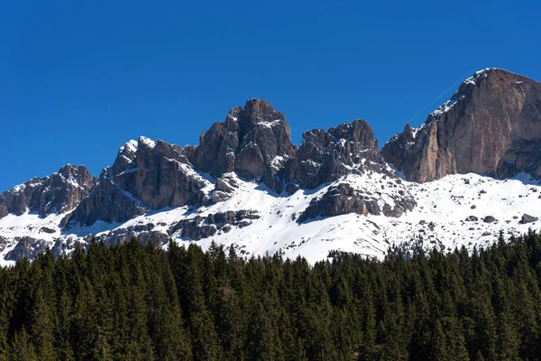 Panorámás kilátás nyílik a Dolomitok-erdő és a hegyek ellen a kék ég, tavasszal, Dél-Tirol, Olaszország — Stock Fotó