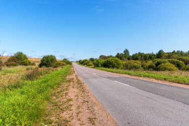 Yolun ormanın arasında panoramik manzaralı.