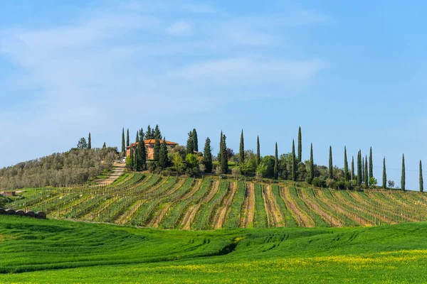 Όμορφο αγρόκτημα αγροτικό τοπίο, κυπαρίσσια και πολύχρωμα ανοιξιάτικα λουλούδια σε Τοσκάνη, Ιταλία. Τυπικό αγροτικό σπίτι. — Φωτογραφία Αρχείου