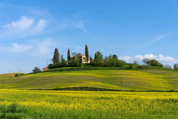 Pięknych pól uprawnych wiejski krajobraz, cyprysów i colorful wiosna kwiaty w Toskanii, Włochy. Typowy wiejski dom. — Zdjęcie stockowe