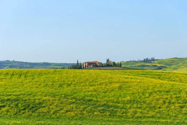 美しい農地農村風景、ヒノキの木とトスカーナ州、イタリアのカラフルな春の花。典型的な民家. — ストック写真