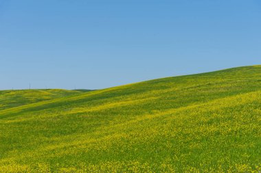 Güzel köy ve Çiftlik Turizmi kırsal manzara, renkli bahar çiçekleri Toskana, İtalya.