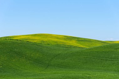 Güzel köy ve Çiftlik Turizmi kırsal manzara, renkli bahar çiçekleri Toskana, İtalya.
