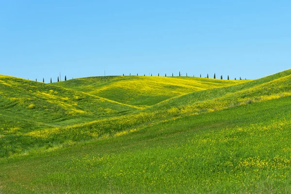 Schöne landwirtschaftliche Landschaft, bunte Frühlingsblumen in der Toskana, Italien. — Stockfoto