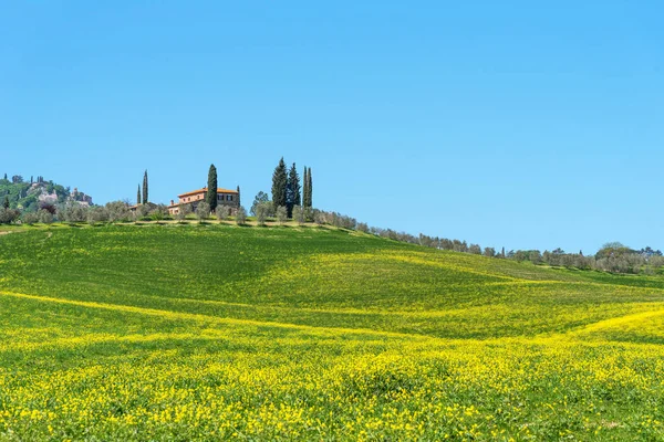 Hermoso paisaje rural de tierras de cultivo, cipreses y coloridas flores de primavera en Toscana, Italia. Casa rural típica . — Foto de Stock