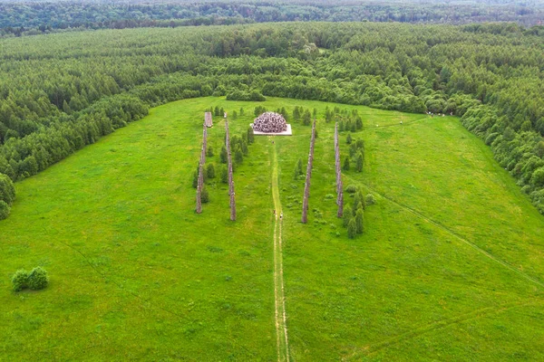 Panoramic top view of the Universal Mind . Wood sculpture in the Art Park Nikola Lenivets. National park in Kaluga Region, Russia.
