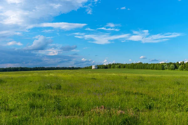 Nikola-Lenivets, Rusya - 2 Haziran 2019: Rotunda'nın panoramik manzarası . Sanat Parkı Nikola Lenivets ahşap heykel. Kaluga Bölgesi'ndeki Milli Park, Rusya Federasyonu.