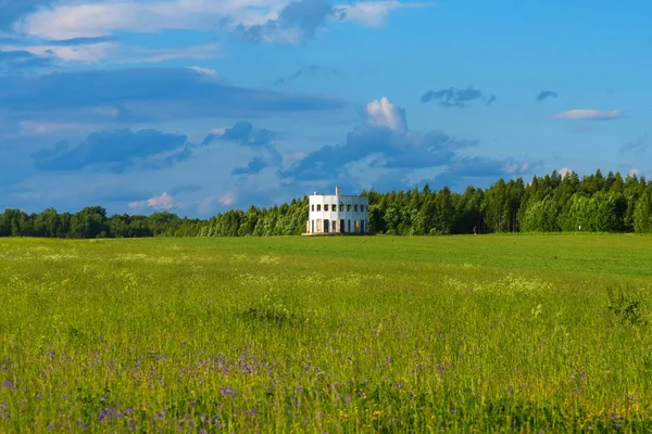 Nikola-Lenivets, Rusko-2. červen 2019: panoramatický výhled na rotundu. Dřevěná socha v Art parku Nikola Lenivets. Národní park v regionu Kaluga, Rusko. — Stock fotografie