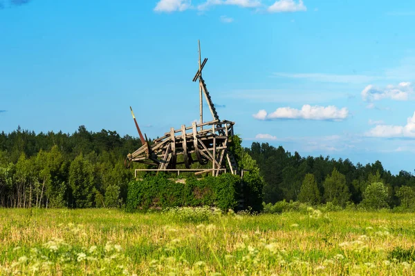 Nikola-Lenivets, Rosja-2 czerwca 2019: panoramiczny widok pozłacany Byk. Rzeźba z drewna w parku sztuki Nikola Lenivets. Park Narodowy w: Kaługa region, Russia. — Zdjęcie stockowe