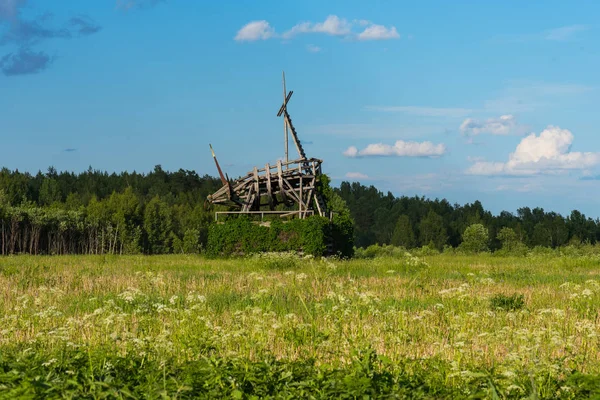 Nikola-Lenivets, Rosja-2 czerwca 2019: panoramiczny widok pozłacany Byk. Rzeźba z drewna w parku sztuki Nikola Lenivets. Park Narodowy w: Kaługa region, Russia. — Zdjęcie stockowe