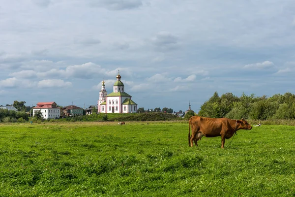 Kościół św Eliasza Proroka na szczyt Ivanova w Suzdal, Rosja. Złoty pierścień Rosji. — Zdjęcie stockowe