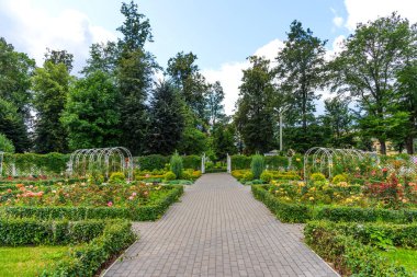 Tver, Rusya - 3 Ağustos 2019: Tver, Rusya 'daki şehir parkının yaz manzarası.