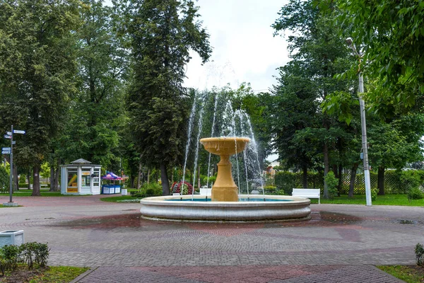 Tver, Venäjä - 3. elokuuta 2019: Kaupunkipuiston kesänäkymä Tverissä, Venäjällä . — kuvapankkivalokuva