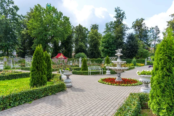 Tver, Rusya - 3 Ağustos 2019: Tver, Rusya 'daki şehir parkının yaz manzarası.
