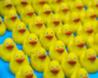 Birçok Ducky küçük sarı lastik ördek banyo oyuncak oyuncak. Seçici odak
