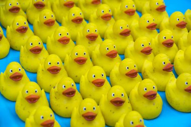 Birçok Ducky küçük sarı lastik ördek banyo oyuncak oyuncak