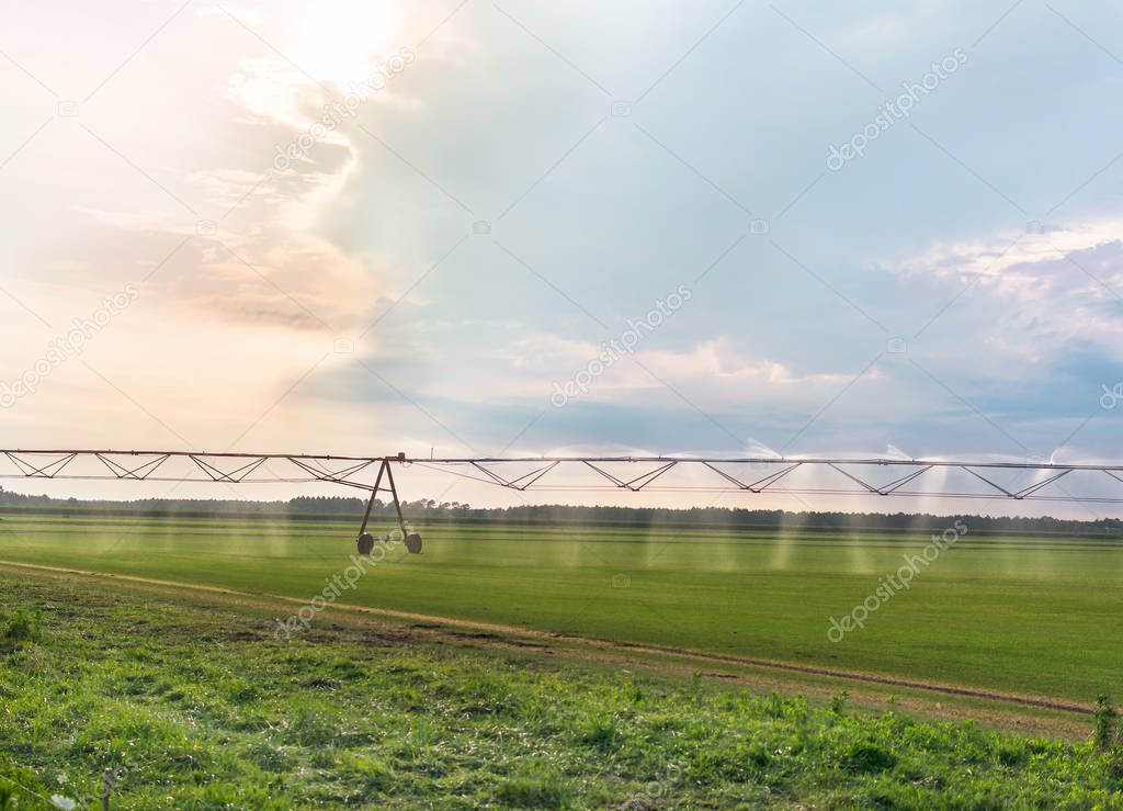 Automated farming irrigation sprinklers system on cultivated agricultural landscape field at sunset