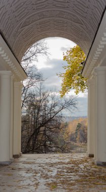 Sonbahar ağaçlar ve Müzesi-rezerv Tsaritsyno colonnade gölet görünümü