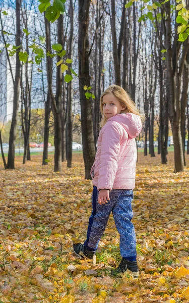 Küçük kız altın sonbahar yaprakları halı üzerinde gider