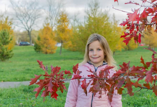 Autunno foto di bella bambina con ramo d'acero giapponese rosso — Foto Stock