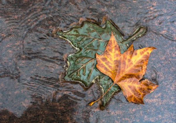 LONDRES, REINO UNIDO - NOVEMBRO 25, 2018: Duas folhas de bronze e bordo natural no Memorial do Canadá em Green Park — Fotografia de Stock