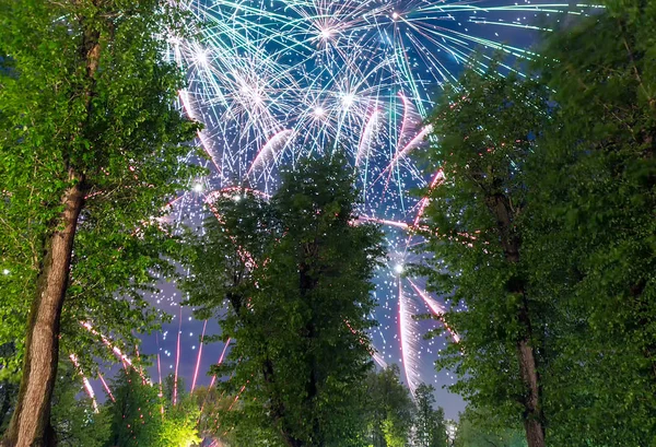 Fuegos artificiales de colores explotando detrás de los árboles — Foto de Stock