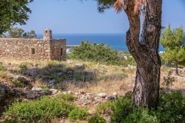 Eski çam ağacı ve dağda eski taş ev. Yaz günü. Rodos. Yunanistan