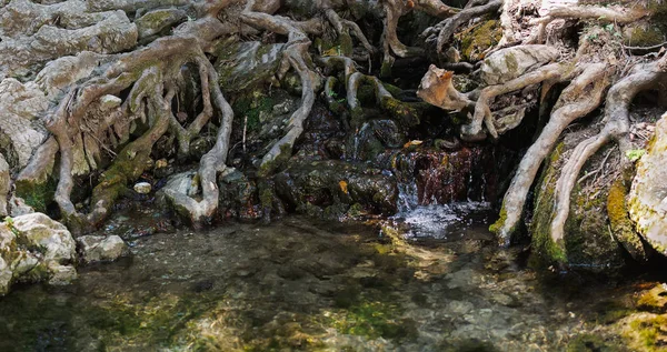 Yedi Springs veya EPTA pigmentler Rodos Yunanistan kökleri arasında su yay