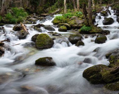 Ormandaki kayalık vadide Fırtına Dağı Nehri