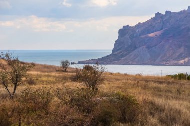 Deniz defne Dağları ve nadir bodur ağaçları ile çevrili. Portre.