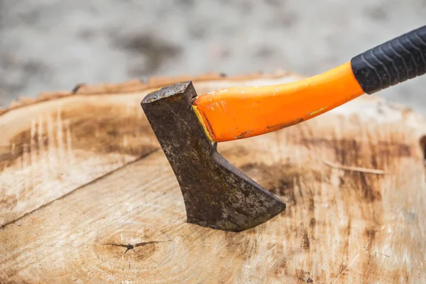 Gran Tocón Madera Primer Plano —  Fotos de Stock