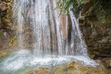 Kükreyen akarsu su göle düşmek. Yaban hayatı.