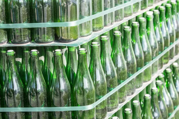 Filas Botellas Vino Verde Vacías —  Fotos de Stock