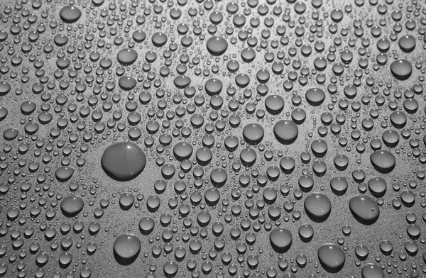 Vatten Droppar Grå Bakgrund Närbild — Stockfoto