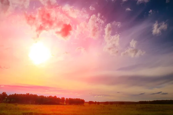 Campo Foresta Illuminati Dal Sole Tramonto Cielo Rosso Giallo — Foto Stock