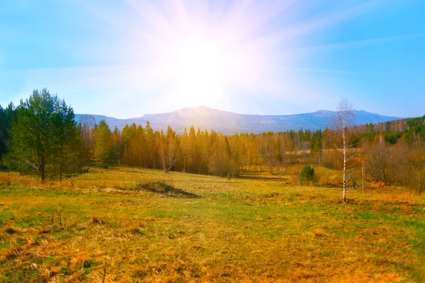 Bela Paisagem Outono Com Floresta Campo Montanhas Fundo — Fotografia de Stock