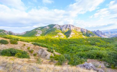 Güneşli bir günde ağaçlar ve çalılar mavi gökyüzü karşı dağ zinciri kaplı.