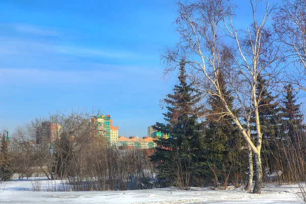 Park Winter Stadtzentrum Chelyabinsk Russland Ural — Stockfoto