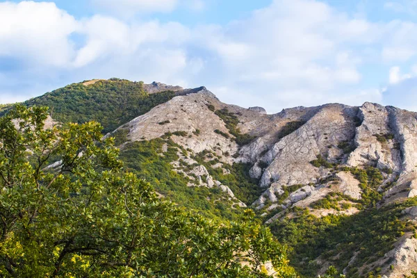 Горный Лесной Пейзаж Вечерним Небом Облаками Солнечном Свете — стоковое фото