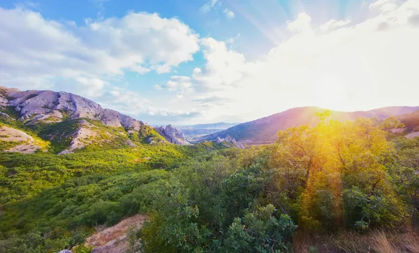 Bergkette Mit Bäumen Und Büschen Vor Blauem Himmel Einem Sonnigen — Stockfoto