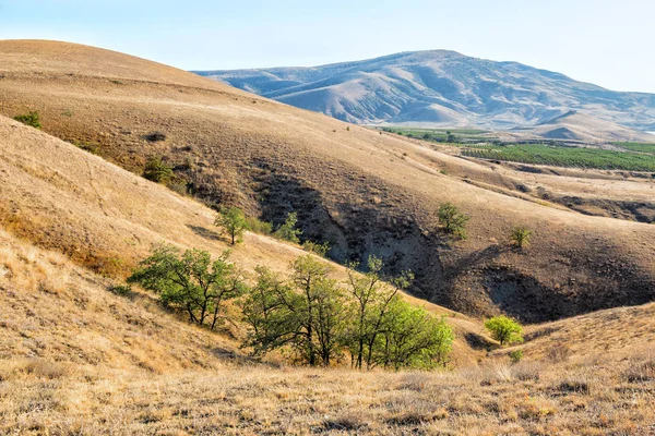 Güzel Dağ Manzarası Ile Bağ Ağaçlar — Stok fotoğraf