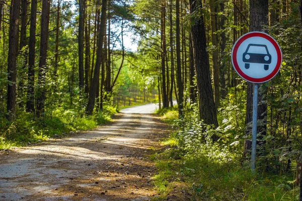 Road Forest Road Sign Prohibiting Passage Cars — Stock Photo, Image