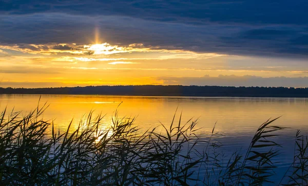 Uitzicht Het Meer Het Riet Tijdens Zonsopgang — Stockfoto