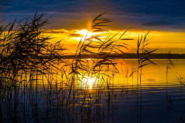 Güzel bir gün batımı göl üzerinde arka plan üzerinde çim silüeti.