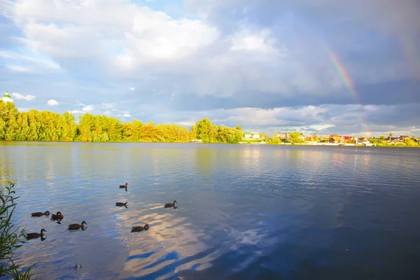 Arco Íris Sobre Lago Rural Com Patos Flutuantes — Fotografia de Stock