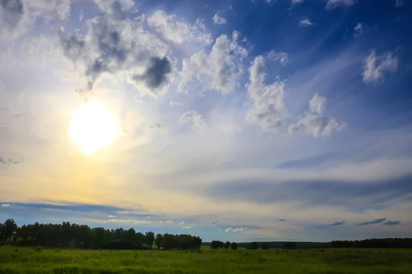 Alan Gün Batımında Güneş Tarafından Aydınlatılmış Orman Bulutlu Gökyüzü — Stok fotoğraf